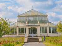 어여쁜 수련이 가득한🌺 영국 큐가든 워터릴리 하우스