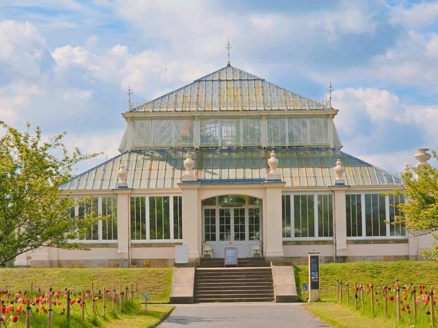 어여쁜 수련이 가득한🌺 영국 큐가든 워터릴리 하우스