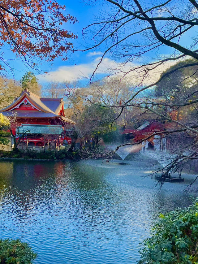 가을 산책엔 이노가시라 시공원 🍂🍁