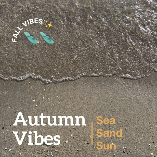 👙🫶🏻🩴✨👒หาดบางแสน น้ำใสๆ ชลบุรี🛟🏝️🏖️🌊