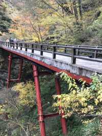 【富山・黒部】絶景の終着駅！黒部渓谷トロッコ列車で行く欅平🚞🌲