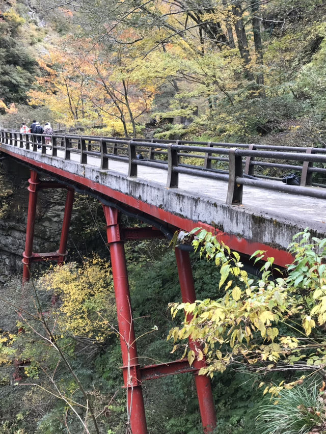 【富山・黒部】絶景の終着駅！黒部渓谷トロッコ列車で行く欅平🚞🌲
