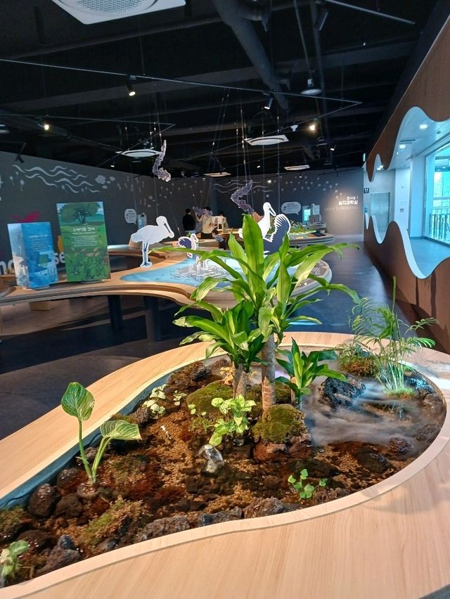 깔끔하게 새 단장한 화포천습지과학관🌿🪶