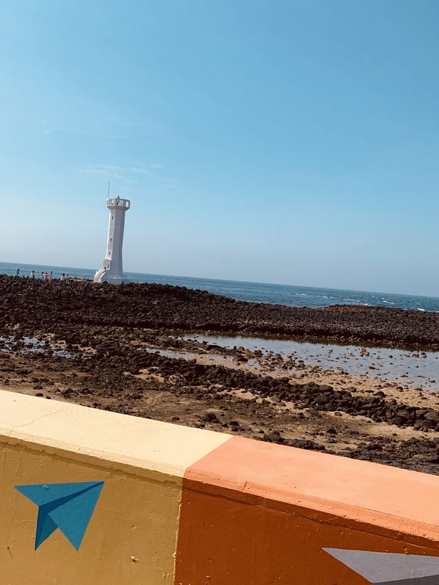 Korea's Rare Gem: The Coral Sand Miracle