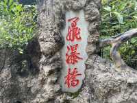赴一埸銀河落九天之約|遇見黄菓樹瀑布
