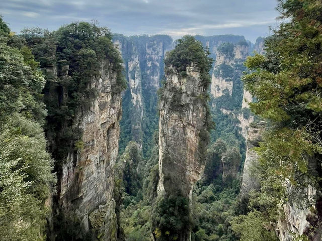 Zhangjiajie หุบเขาอวตารของจริง! วิวสุดล้ำ  Zhangjiajie หุบเขาอวตารของจริง! วิวสุดล้ำ