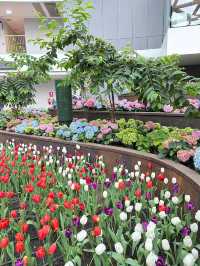 Family Trip แพลนพาครอบครัวเที่ยวระยอง [2วัน 1คืน]