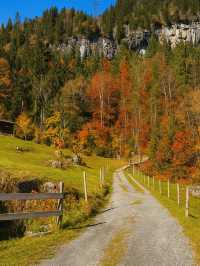 🚡 ลอยเหนือหุบเขา Jungfrau กับกระเช้าแดง Isenfluh