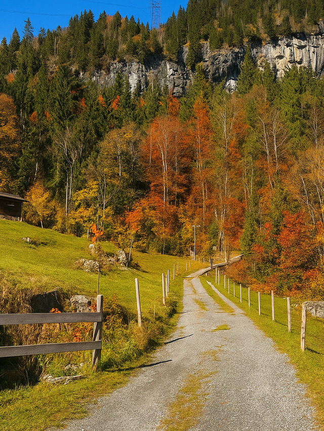 🚡 ลอยเหนือหุบเขา Jungfrau กับกระเช้าแดง Isenfluh