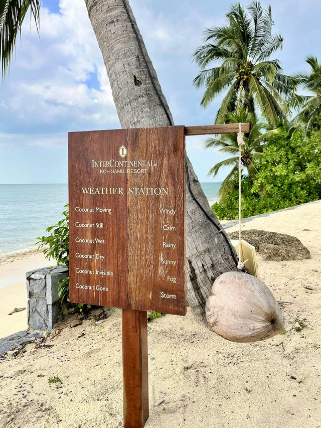 โรงแรมที่วิวพระอาทิตย์ตก สวยที่สุดในเกาะสมุย โรงแรมที่วิวพระอาทิตย์ตก สวยที่สุดในเกาะสมุย