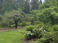 Washington Park Arboretum
