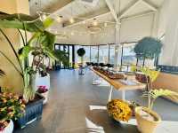 The Lighthouse of Lattes: Café Heaven ☕️