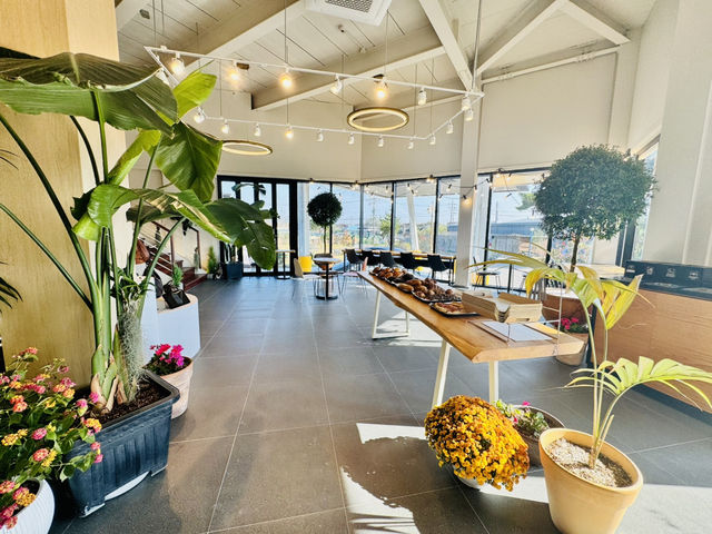 The Lighthouse of Lattes: Café Heaven ☕️