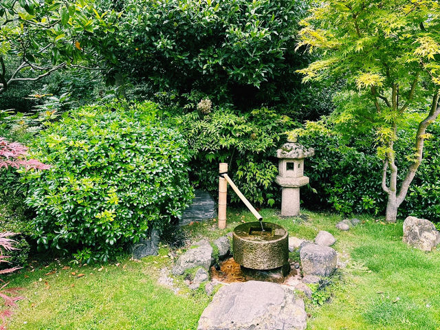 The Soloist's London Kyoto: Holland Park Garden