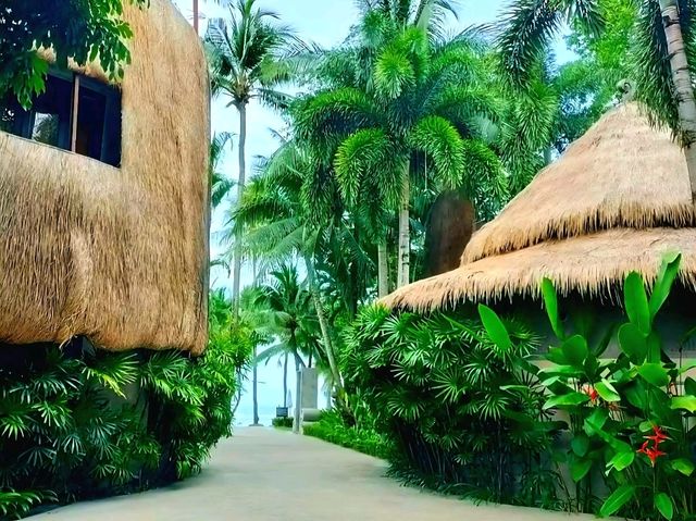 Dewa Koh Chang — ที่พักฟีลต่างประเทศ ไม่ต้องบินไกล Dewa Koh Chang — ที่พักฟีลต่างประเทศ ไม่ต้องบินไกล