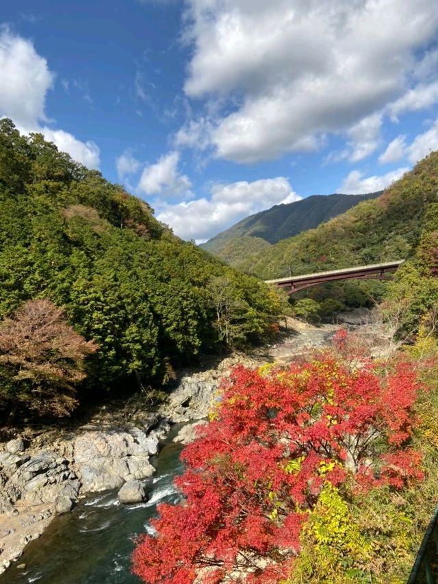 🍁✨โอซาก้า (Osaka)” ฤดูใบไม้เปลี่ยนสี