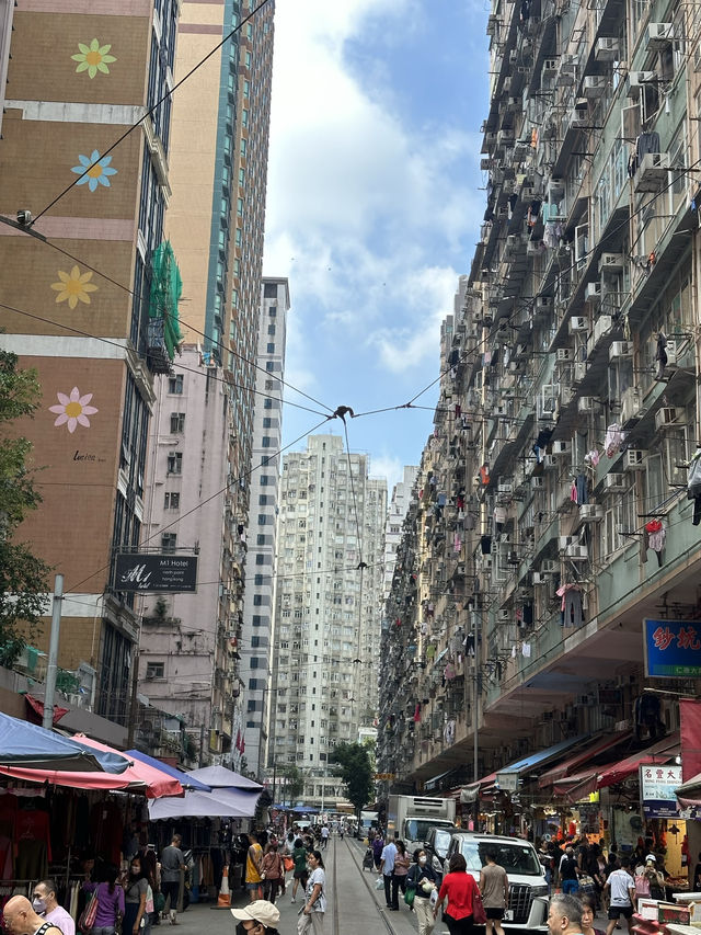 Hong Kong: Where Neon Dreams Meet Tradition 🇭🇰✨ Hong Kong: Where Neon Dreams Meet Tradition 🇭🇰✨