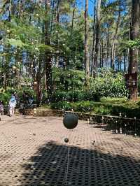 Orchid Forest Cikole: A Nature Escape