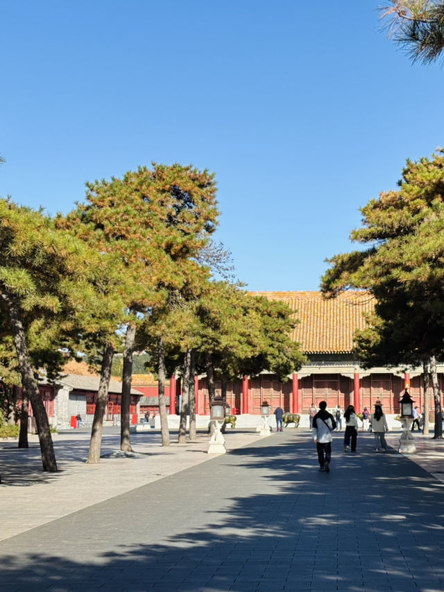 北京之旅:頤和園與故宮的歷史與靜美 北京之旅:頤和園與故宮的歷史與靜美