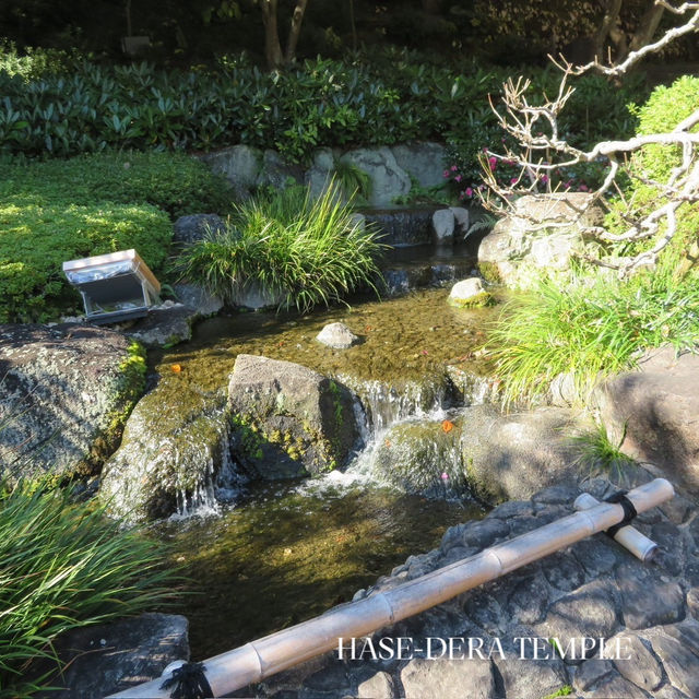 🌸 รีวิว: วัดฮาเซะ-เดระ (Hase-dera Temple) 