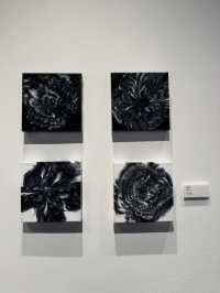 Stephy 鄧麗欣1️⃣首個🎨個人畫展