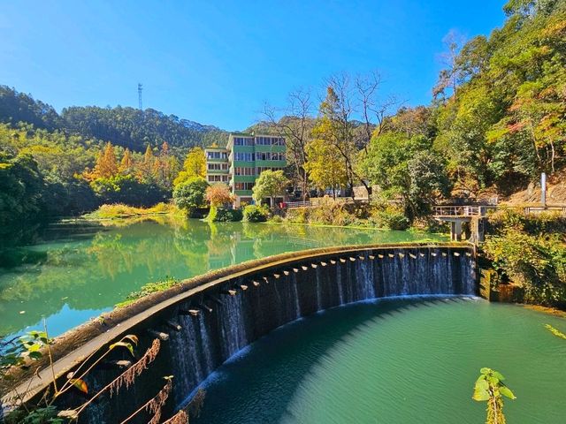 蹒跚小旅人:在南雄的鎏金童话里,接住整个秋天 蹒跚小旅人:在南雄的鎏金童话里,接住整个秋天