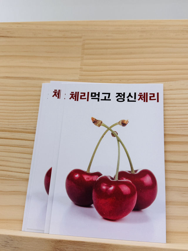 경주 체리주 경주 체리주