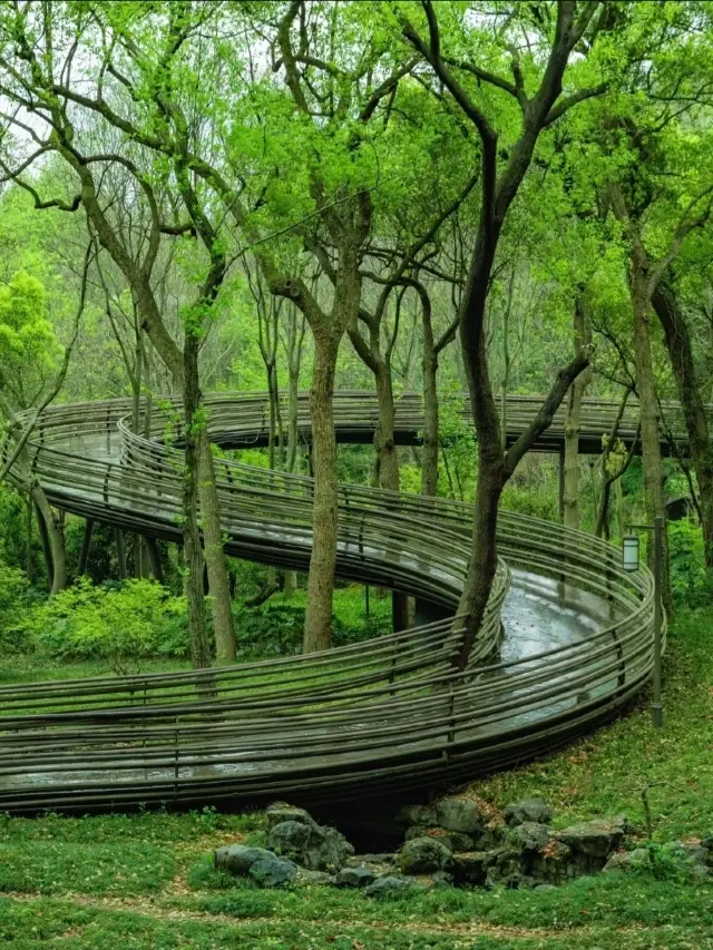 分享杭州City Walk計劃,讓大家拍下這18張美照