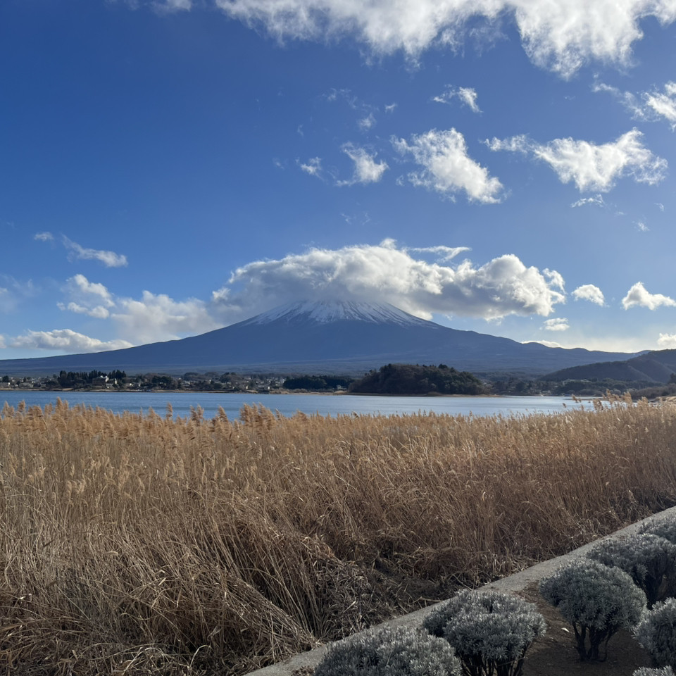 Yamanashi Prefecture - Oishi Park | Trip.com Fujikawaguchiko