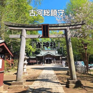 かわいらしい名前の神社❣️
