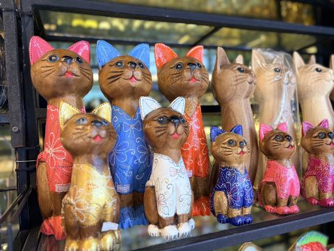 チャトゥチャック市場での嬉しいサプライズ！一目で癒される可愛い猫の