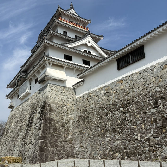 【佐賀県】唐津市のシンボル唐津城 ️もうすく藤の花が見頃です | Trip.com 唐津