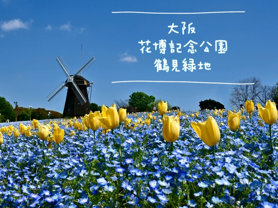 大阪】風車のある丘🌸花博記念公園 鶴見緑地 | Trip.com 守口