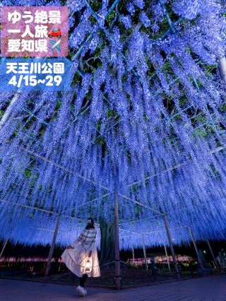 Have you heard of this place? Aichi Prefecture goes all out at "Tennogawa Park" with a limited-time illumination!