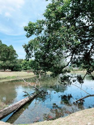 Must-Visit Nature Sanctuary Filled with Scenic Beauty