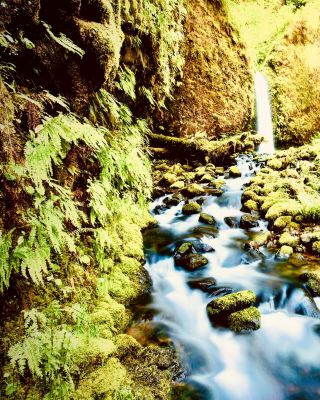 Japan Tohoku Nyuto Onsen Mossy Forest Ryokan Laneeasytravelpost #NyutoOnsen #Tazawako #MossyRyokanL