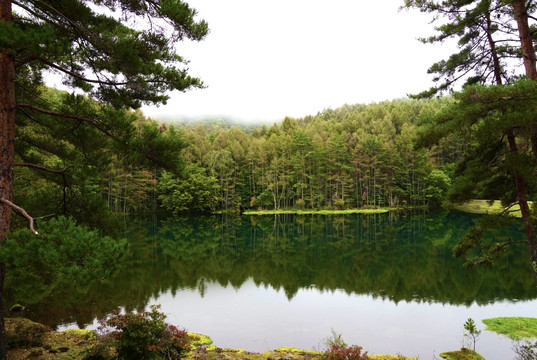A breathtaking landscape woven from greenery and tranquility: the