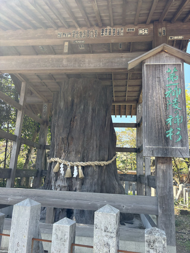 【熊本県・阿蘇】 2000年の歴史を誇る、阿蘇の総鎮守