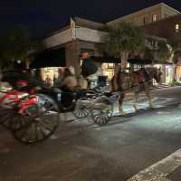 Charming Charleston!