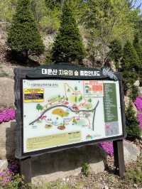뷰 맛집 계곡맛집 “대운산”
