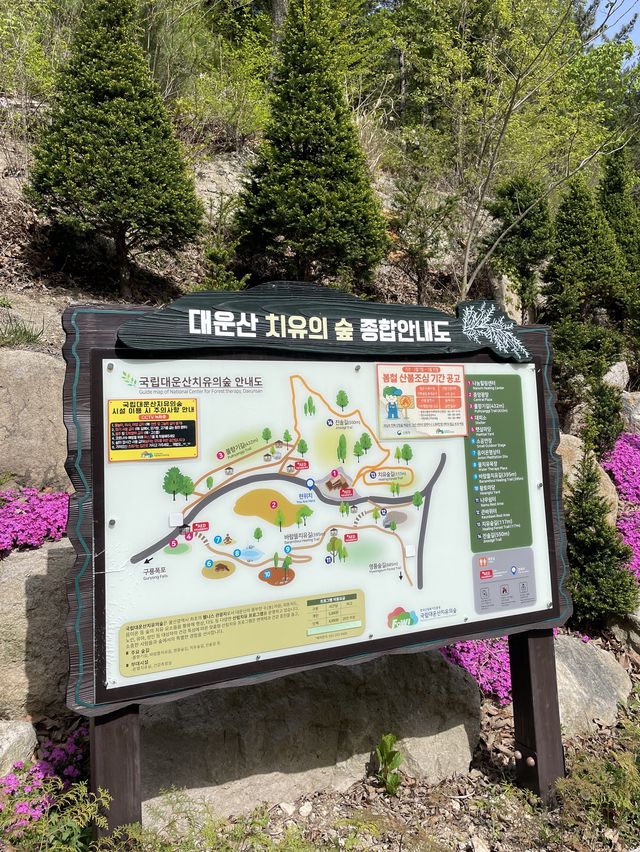 뷰 맛집 계곡맛집 “대운산”