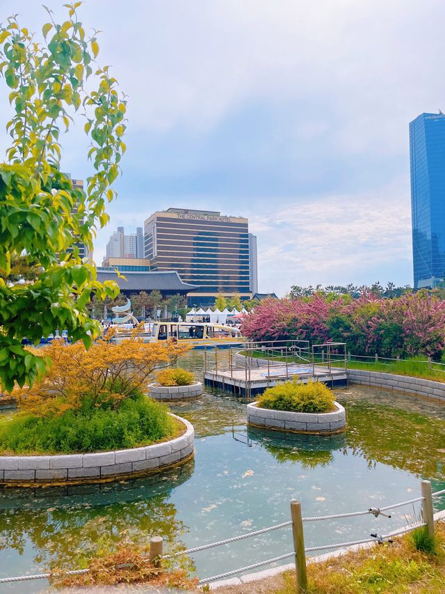 지금 나들이 가기 딱 ! 좋은 곳 뉴욕 부럽지 않은 송도 센트럴파크🌿