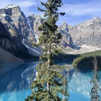 Turquoise water of Moraine Lake