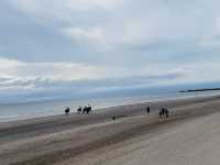 Seaside Relaxation in the West of Scotland 🏴󠁧󠁢󠁳󠁣󠁴󠁿