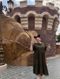 The Best Castle Pictures at Shanghai Disney Resort