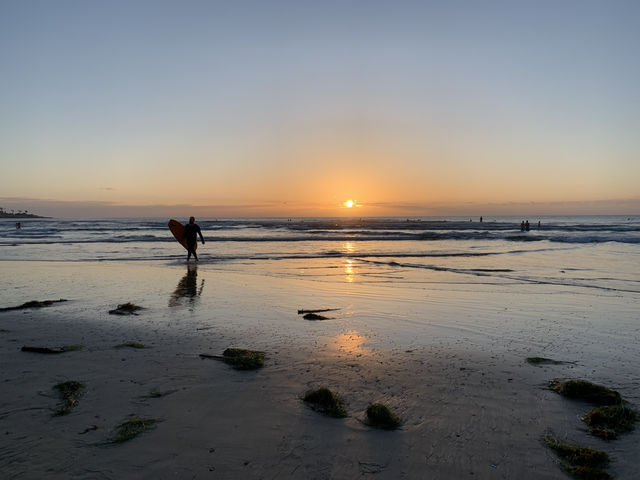 La Jolla Shores，surfing the Pacific Ocean