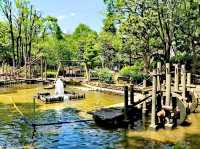 平和之森公園