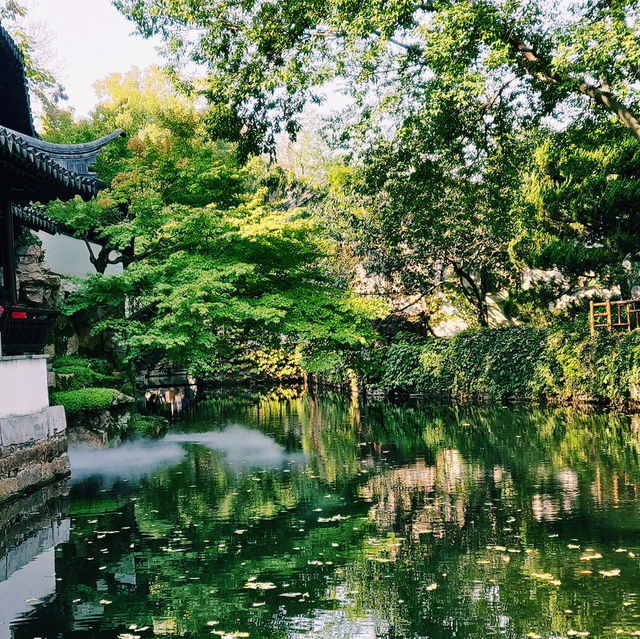 蘇州慢遊指南｜西園寺·拙政園·蘇州博物館 