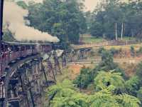 墨爾本Puffing Billy 蒸汽小火車魔幻時刻
