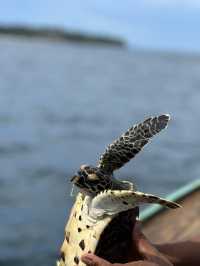  Путешествие на острова Пхи-Пхи,Майа Бэй и Кхай.Пхукет🇹🇭